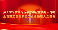 深入学习贯彻习近平总书记重要指示精神全面落实全国新型工业化推进大会部署