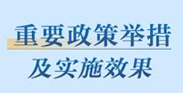 重要政策举措及实施效果